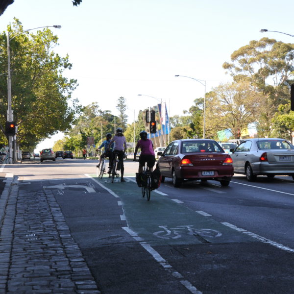 panniers useful for cyclists codycross